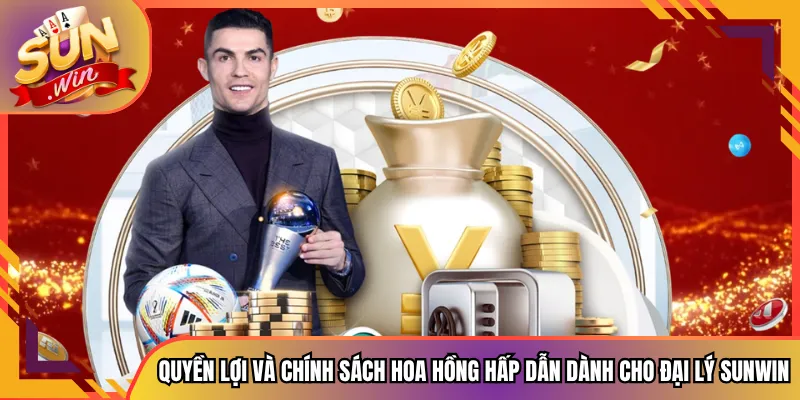 Quyền lợi và chính sách hoa hồng hấp dẫn dành cho đại lý Sunwin